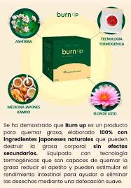 JAPONES BURN UP X 30 PARCHES DE ADELGAZA